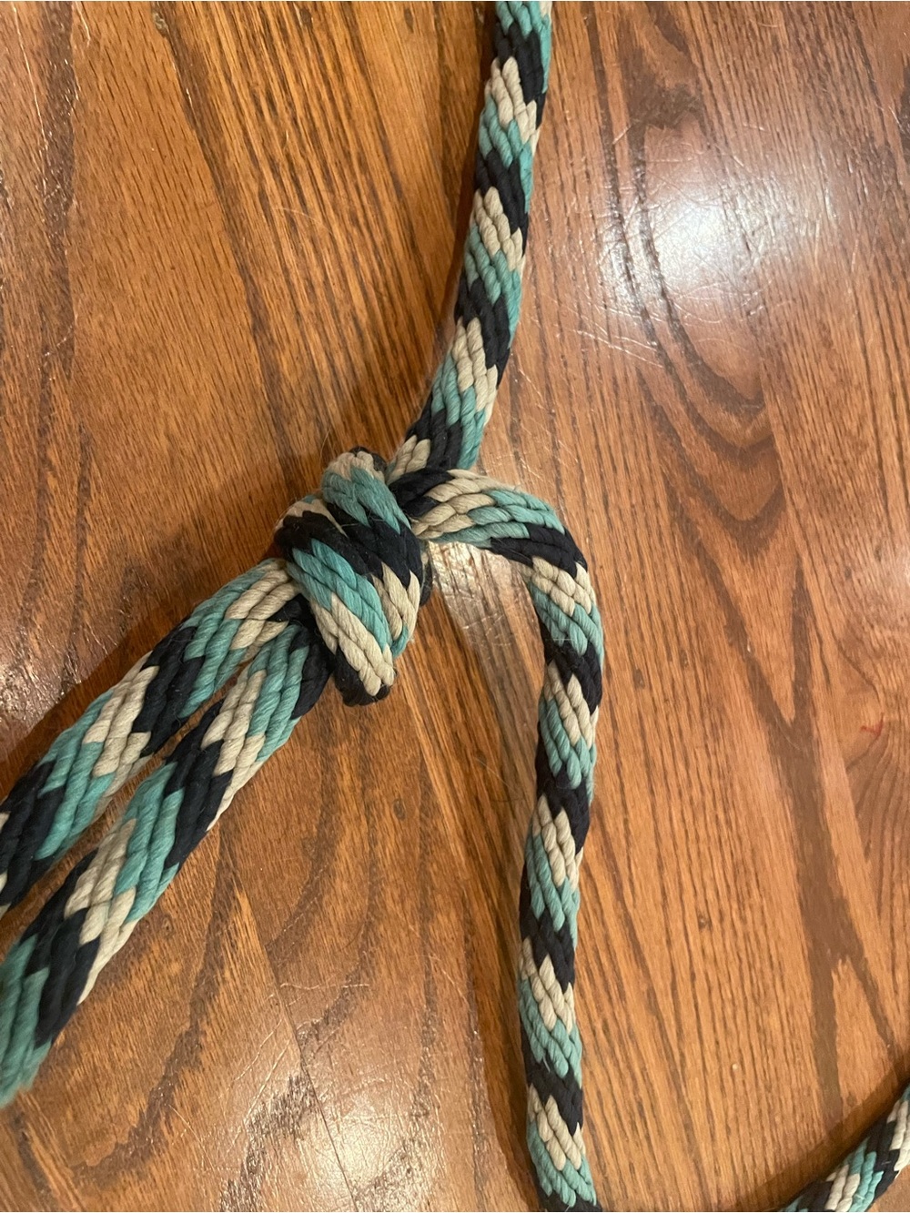 Teal Neck Rope - Picture 2 of 3